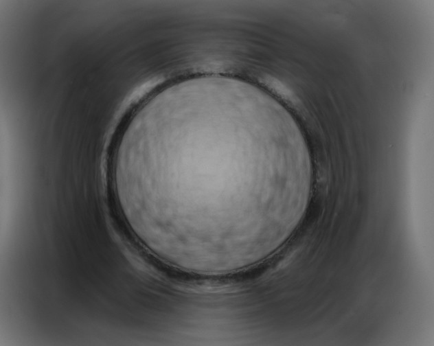 X0000086800678200705041609