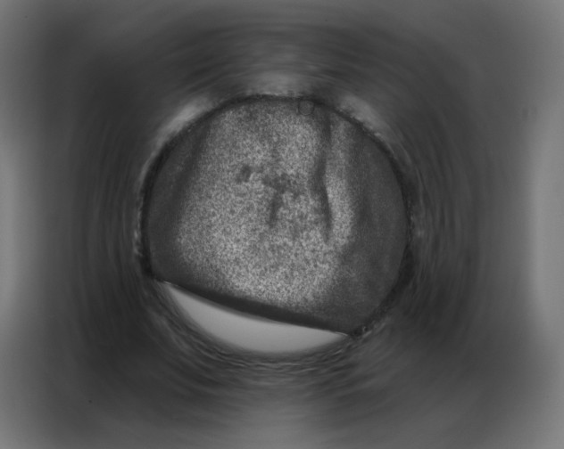 X0000086800679200705041609