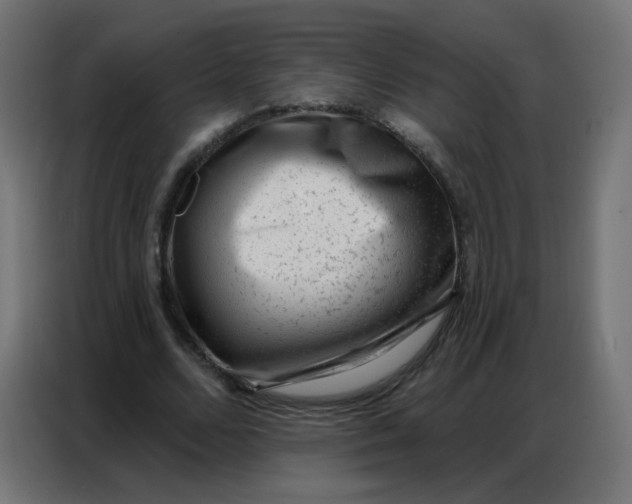 X0000086800680200705041609