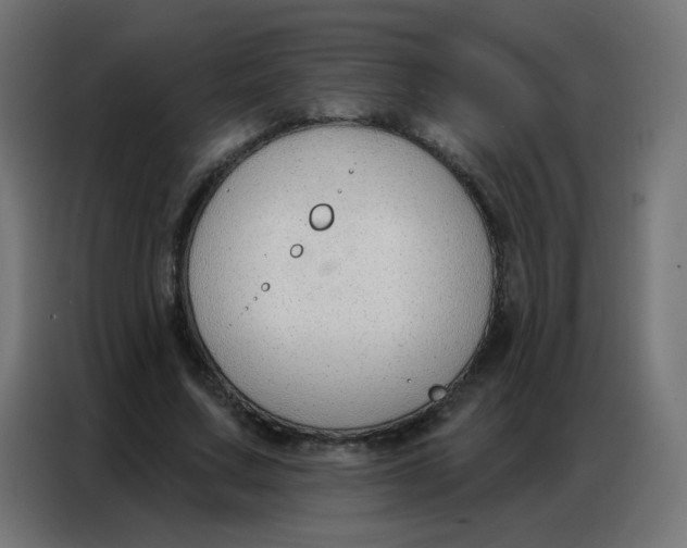 X0000086800683200705041609