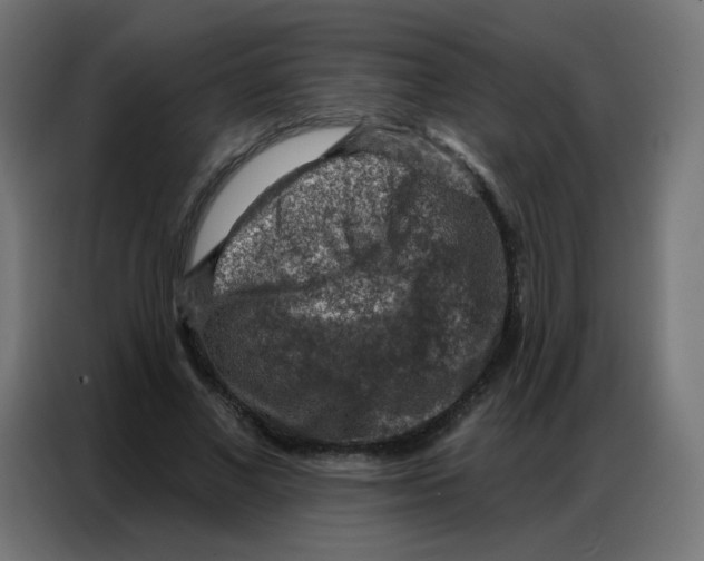 X0000086800685200705041609