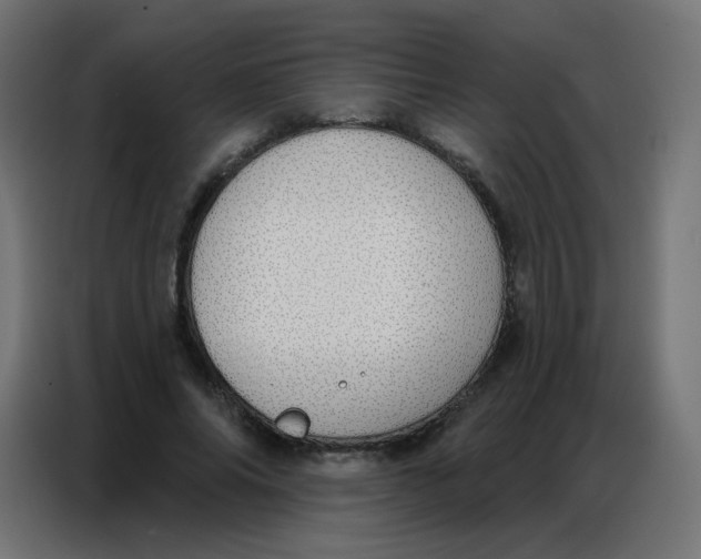 X0000086800686200705041608