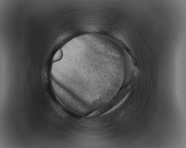 X0000086800688200705041608