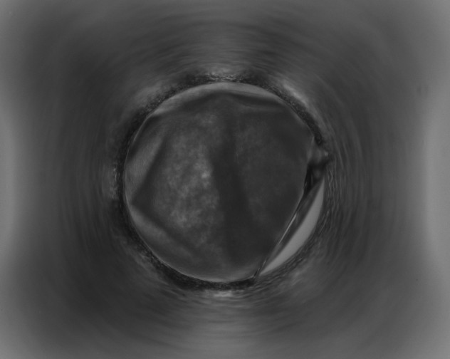 X0000086800689200705041608