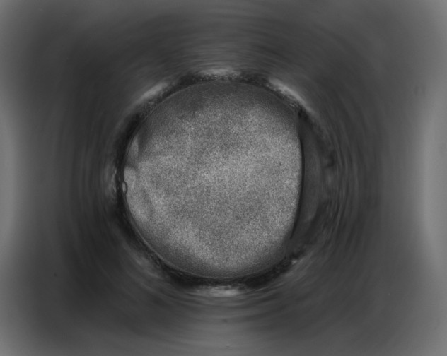 X0000086800692200705041608