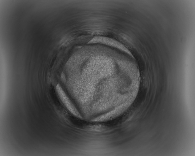 X0000086800695200705041608