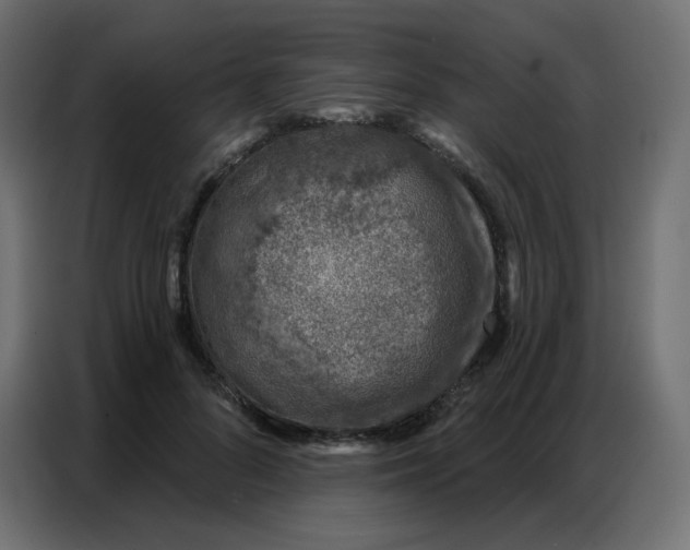 X0000086800696200705041608