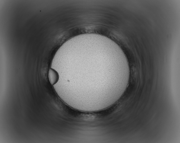 X0000086800698200705041608