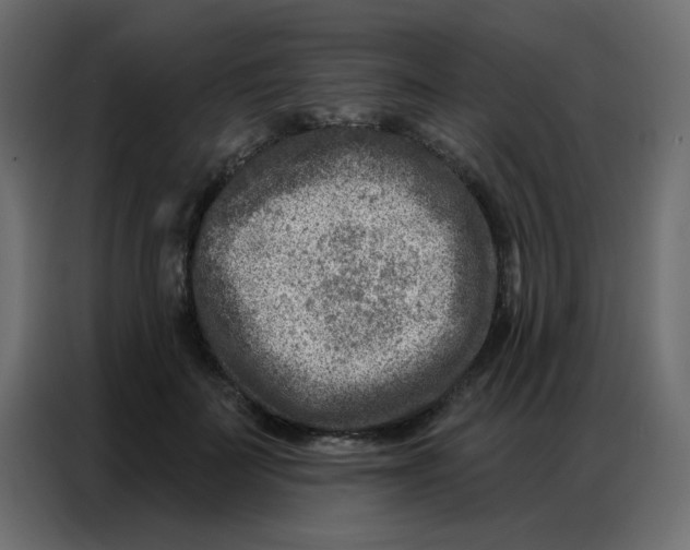 X0000086800699200705041608