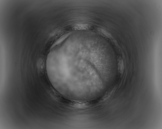 X0000086800701200705041608