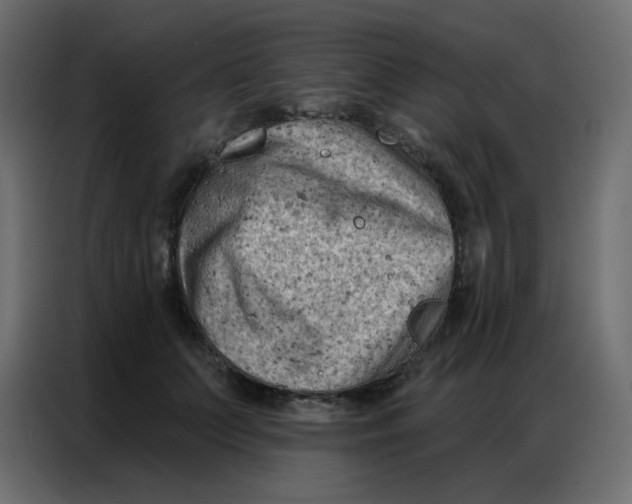 X0000086800703200705041608