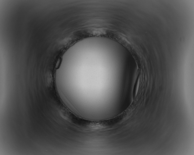 X0000086800704200705041608