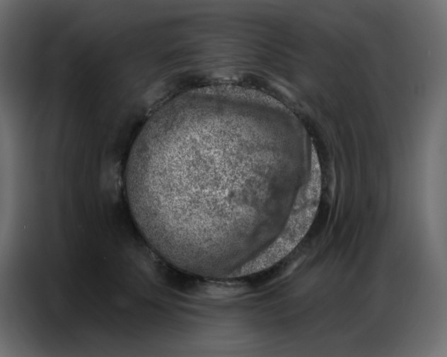 X0000086800707200705041608