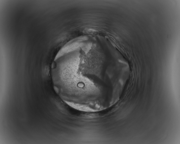 X0000086800711200705041608