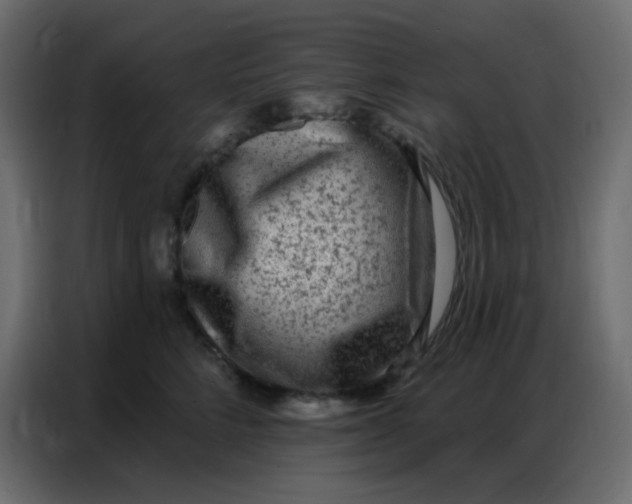 X0000086800712200705041608