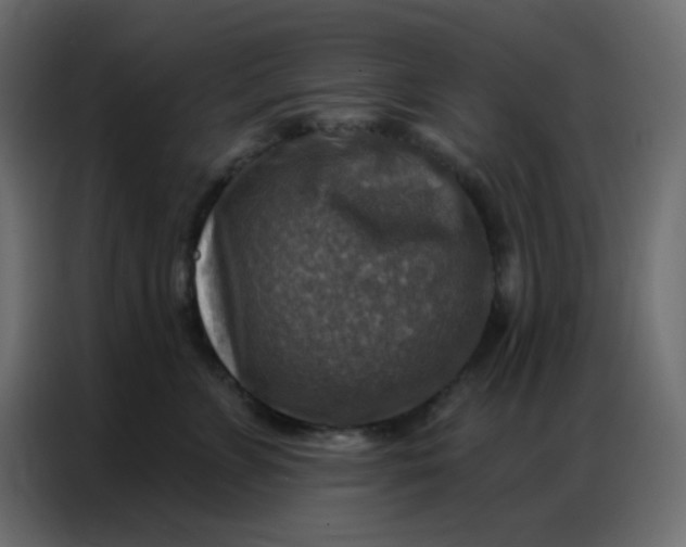 X0000086800715200705041608