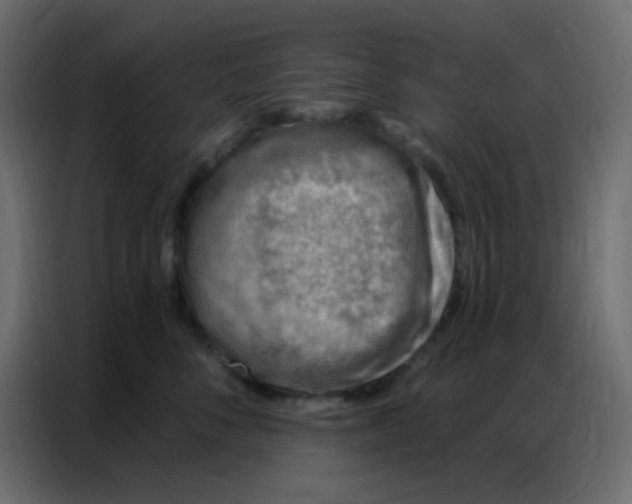 X0000086800716200705041608