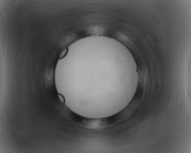 X0000086800717200705041608