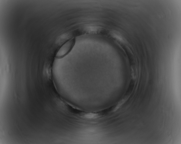 X0000086800718200705041608