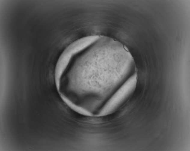 X0000086800719200705041608