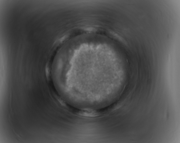 X0000086800720200705041608