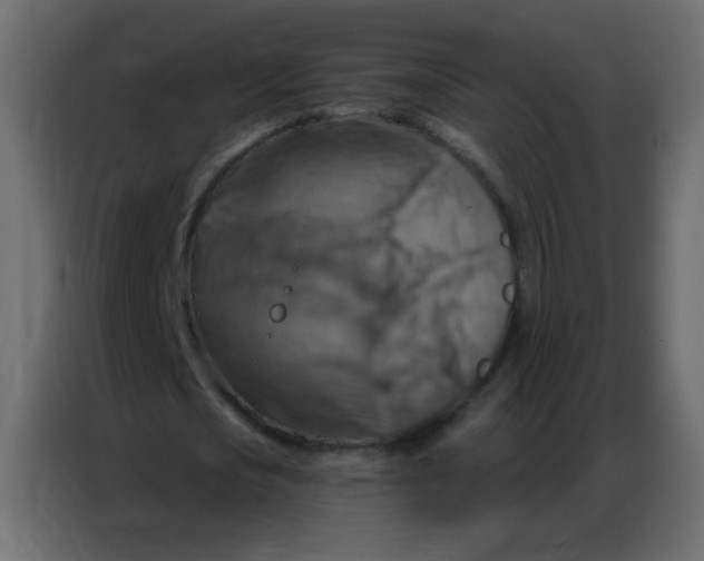 X0000086800721200705041607