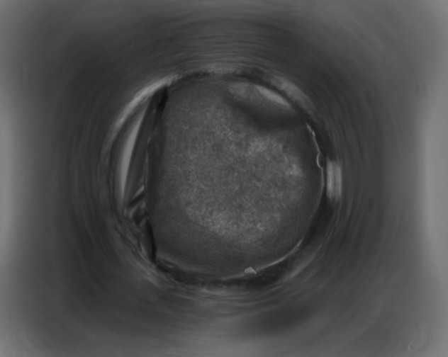 X0000086800723200705041607