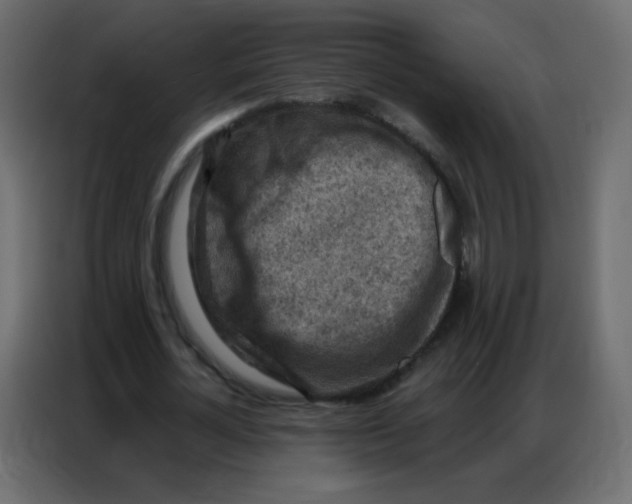 X0000086800724200705041607