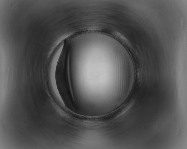 X0000086800725200705041607