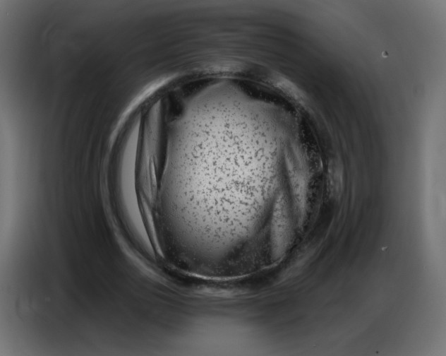 X0000086800726200705041607