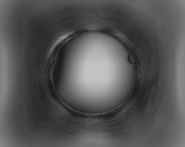 X0000086800727200705041608