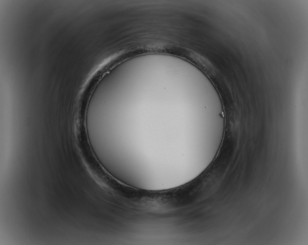 X0000086800728200705041608