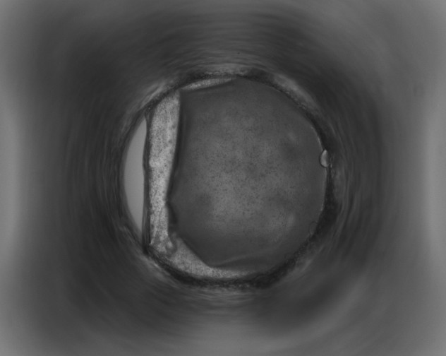 X0000086800729200705041608