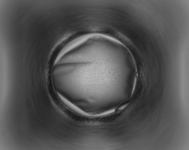 X0000086800730200705041608