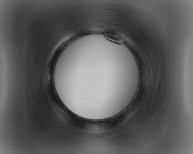 X0000086800731200705041608