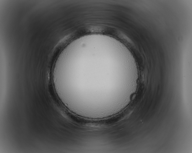 X0000086800733200705041608