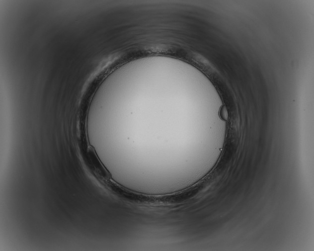 X0000086800734200705041608