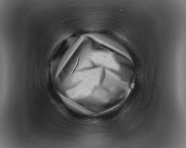 X0000086800735200705041608