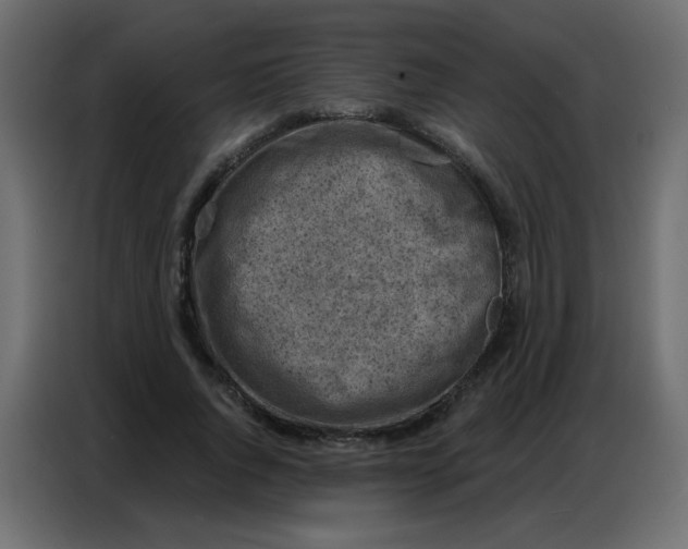 X0000086800736200705041608