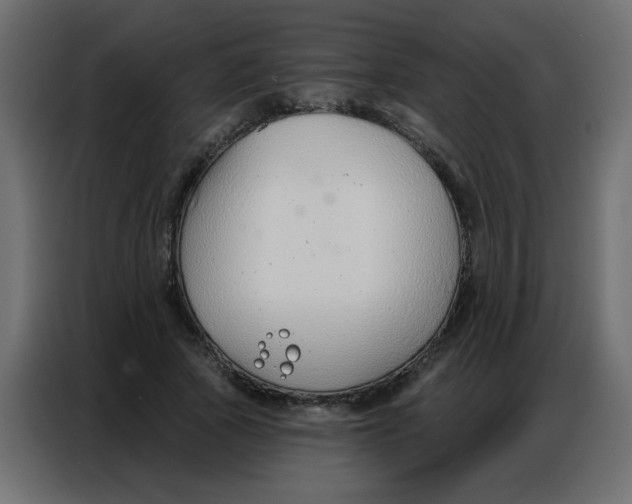 X0000086800737200705041608