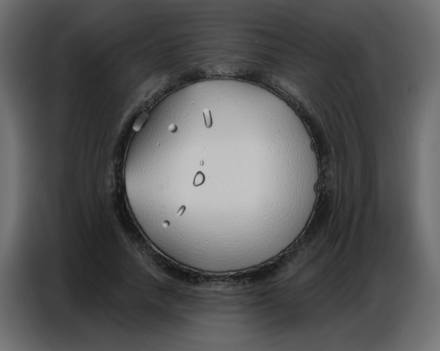 X0000086800738200705041608