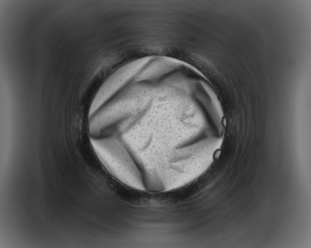 X0000086800739200705041608