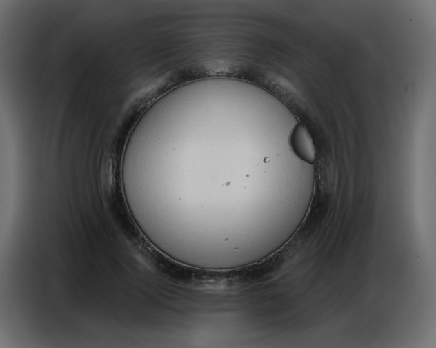 X0000086800740200705041608