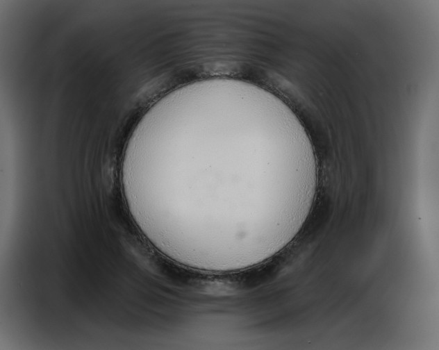 X0000086800741200705041608