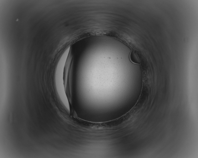 X0000086800742200705041608