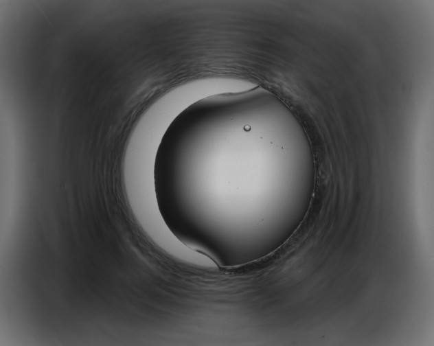 X0000086800744200705041608