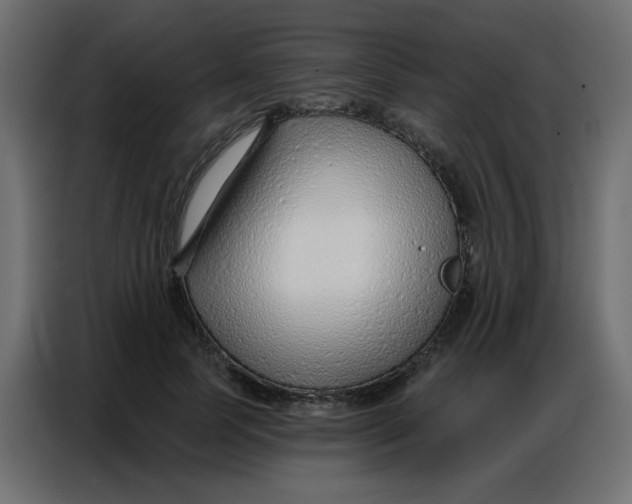 X0000086800745200705041608