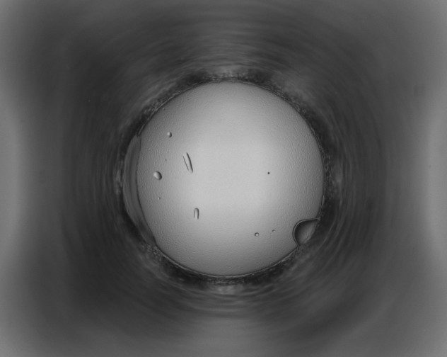 X0000086800746200705041608