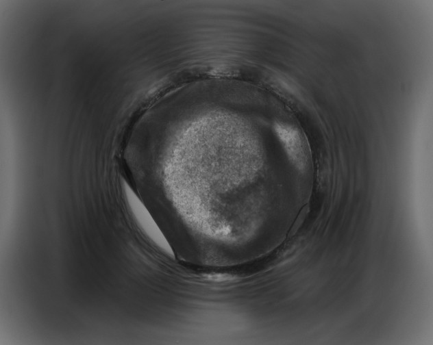 X0000086800748200705041608