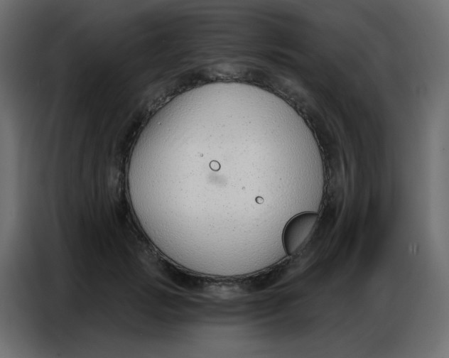 X0000086800749200705041608